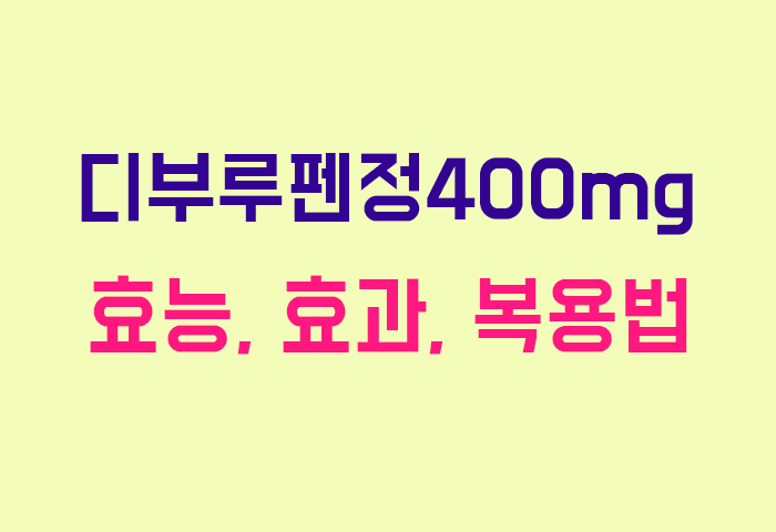 디부루펜정400mg