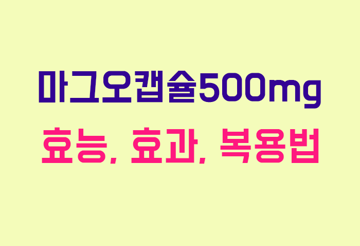 마그오캡슐500mg