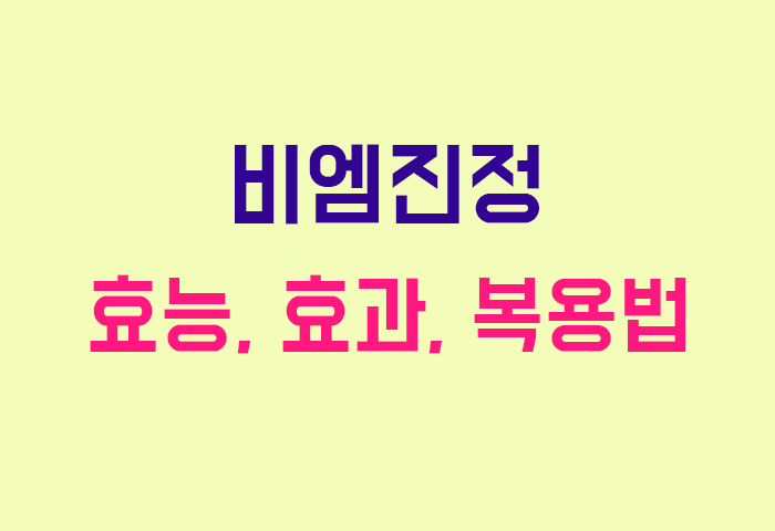 비엠진정