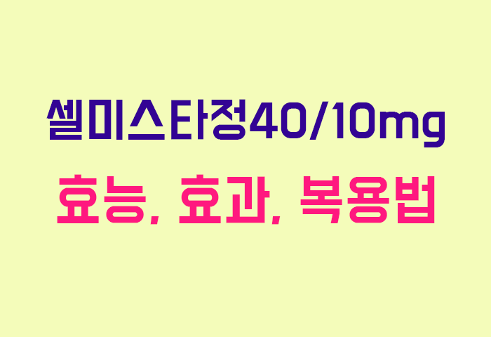 셀미스타정40/10mg