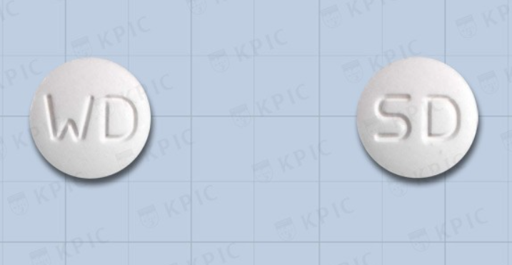 웰다운에스정 약