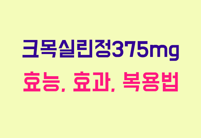 크목실린정375mg