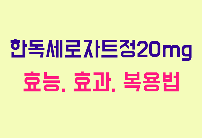 한독세로자트정20mg