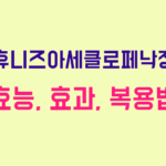 휴니즈아세클로페낙정