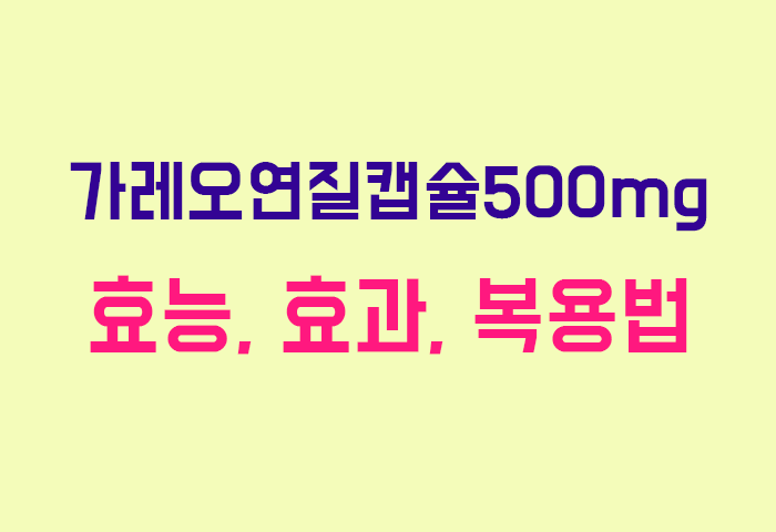 가레오연질캡슐500mg