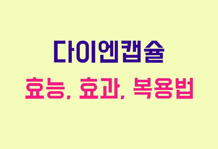 다이엔캡슐