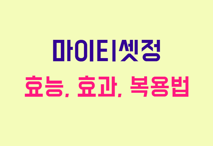 마이티셋정