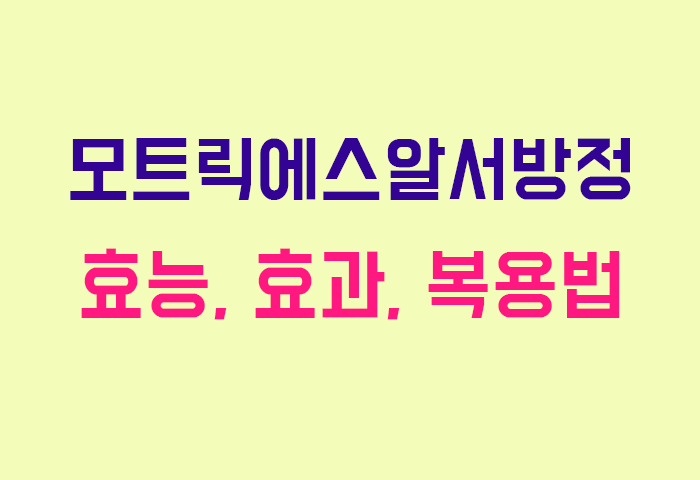 모트릭에스알서방정