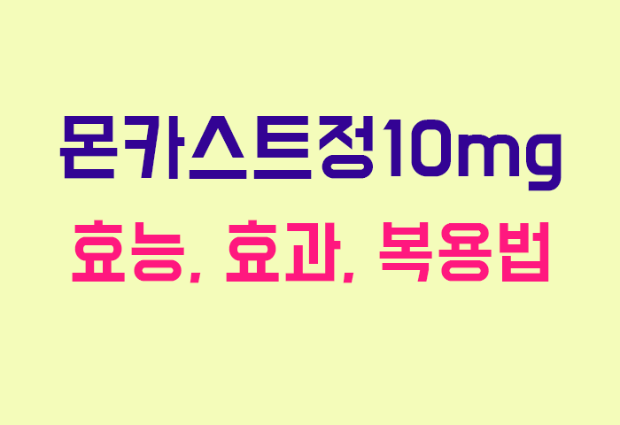몬카스트정10mg