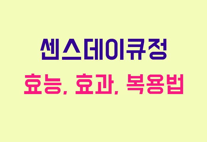 센스데이큐정