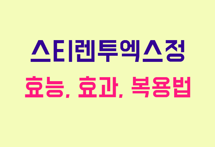 스티렌투엑스정