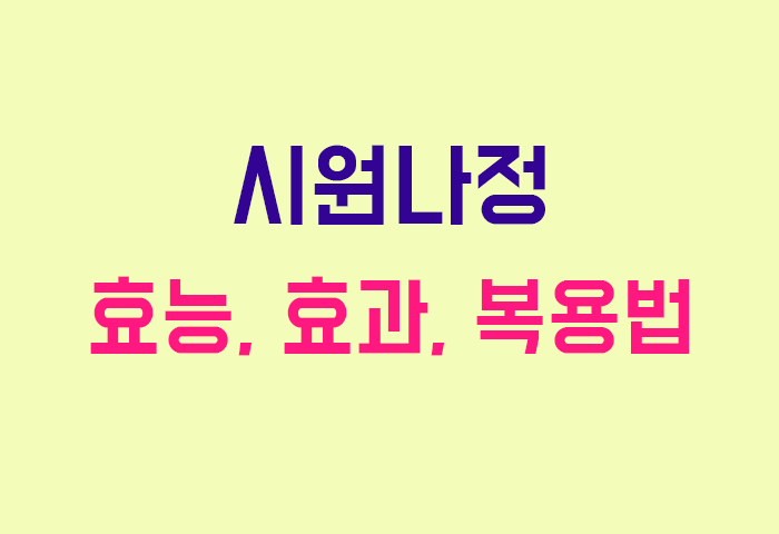 시원나정