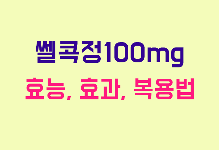 쎌콕정100mg