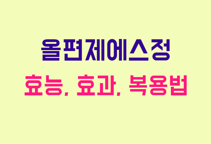 올편제에스정