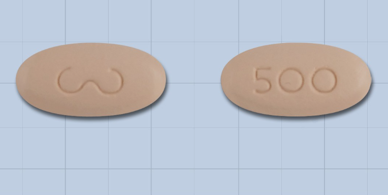 위더스레보플록사신정500mg 약