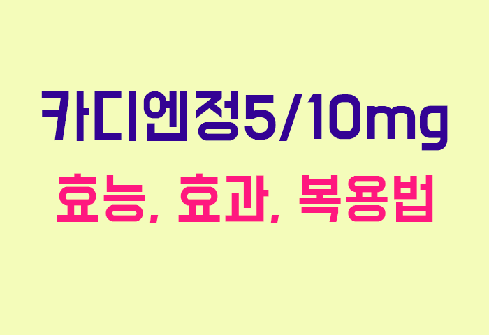 카디엔정5/10mg