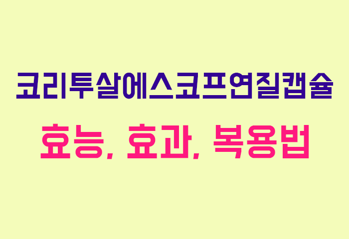 코리투살에스코프연질캡슐