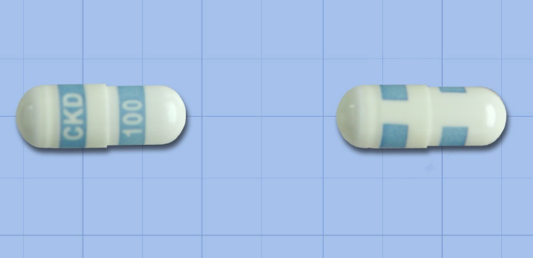 콕스비토캡슐100mg 약
