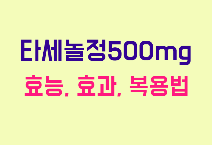타세놀정500mg
