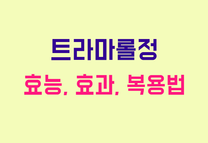트라마롤정