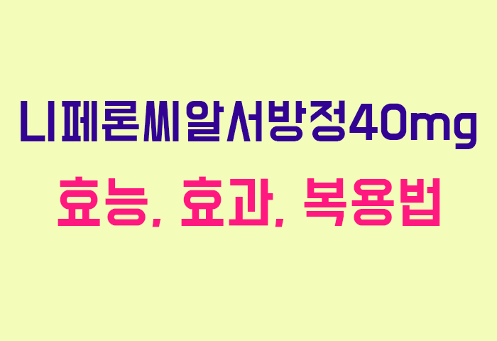 니페론씨알서방정40mg