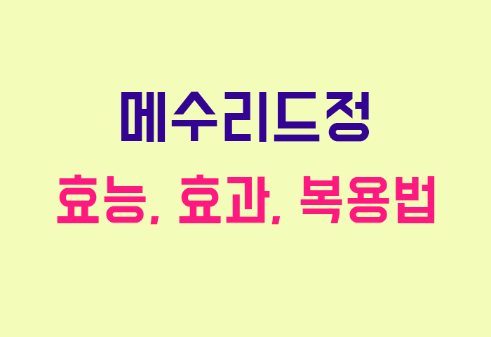 메수리드정