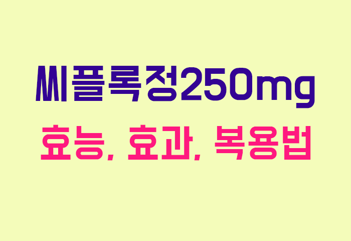 씨플록정250mg