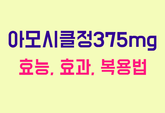 아모시클정375mg
