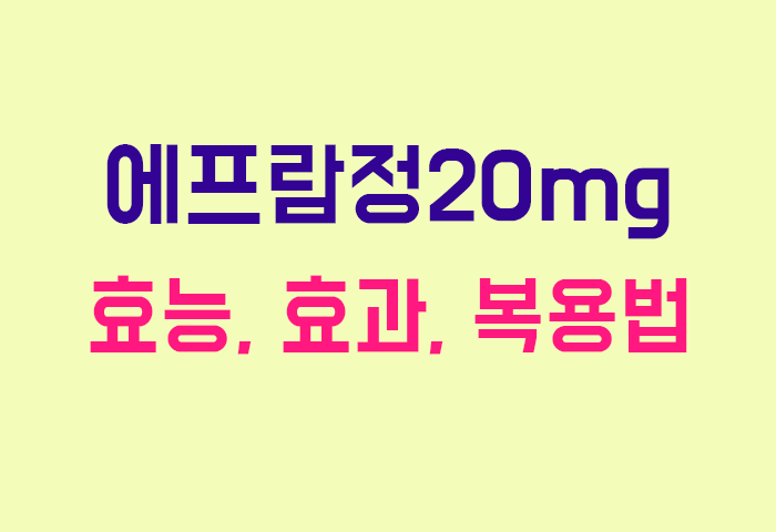 에프람정20mg