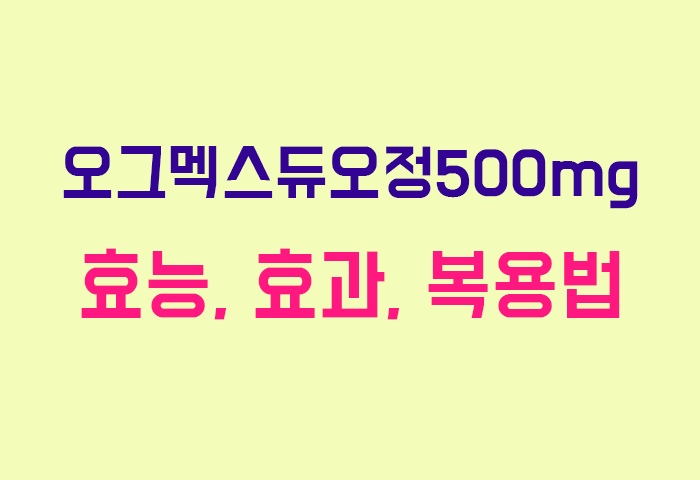 오그멕스듀오정500mg