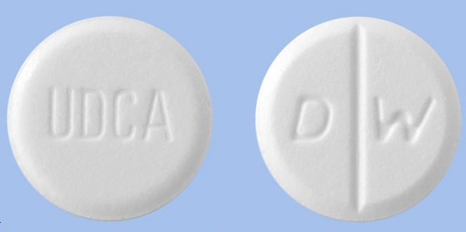 우루사정100mg 약