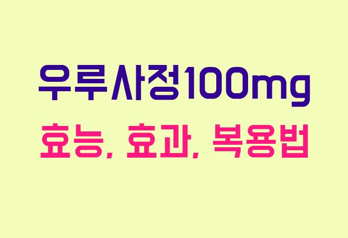 우루사정100mg