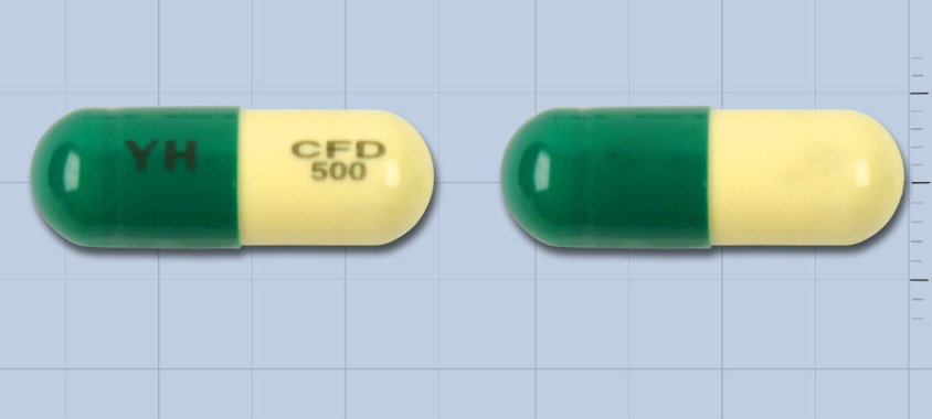 유한세프라딘캡슐500mg 약