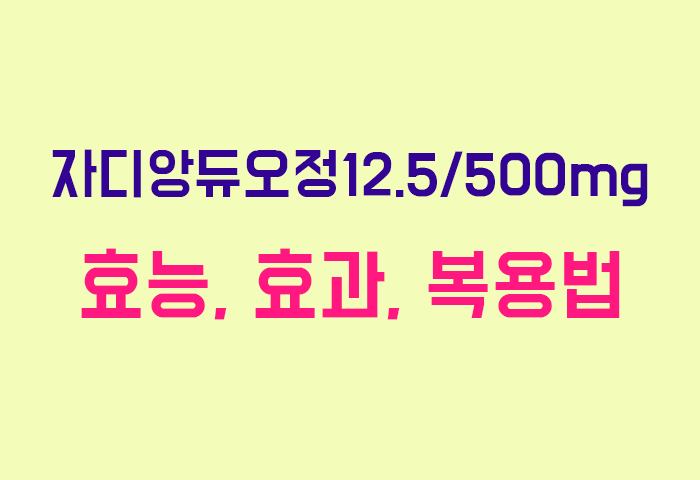 자디앙듀오정12.5/500mg