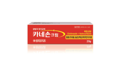 카네손크림 약