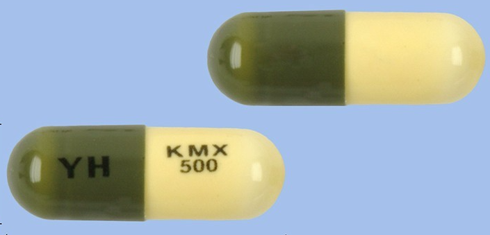 키목신캡슐500mg 약
