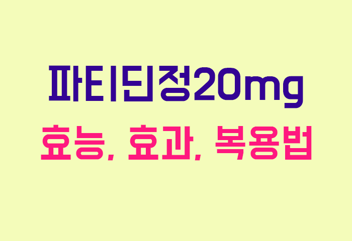 파티딘정20mg
