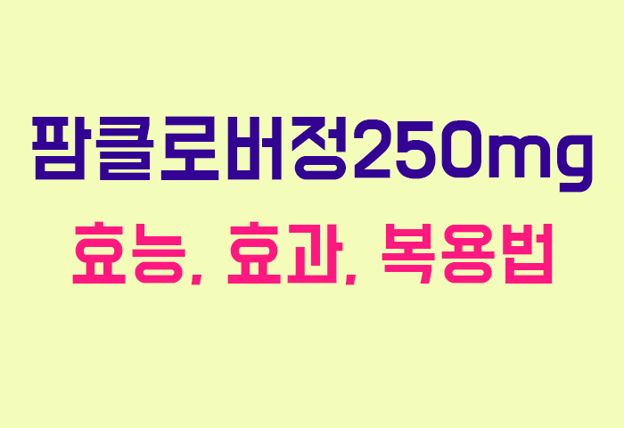 팜클로버정250mg