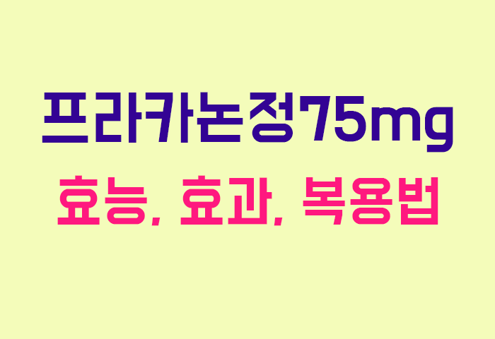 프라카논정75mg
