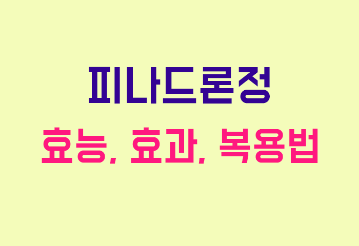 피나드론정