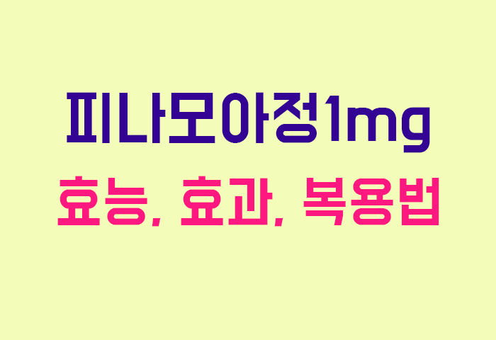 피나모아정1mg