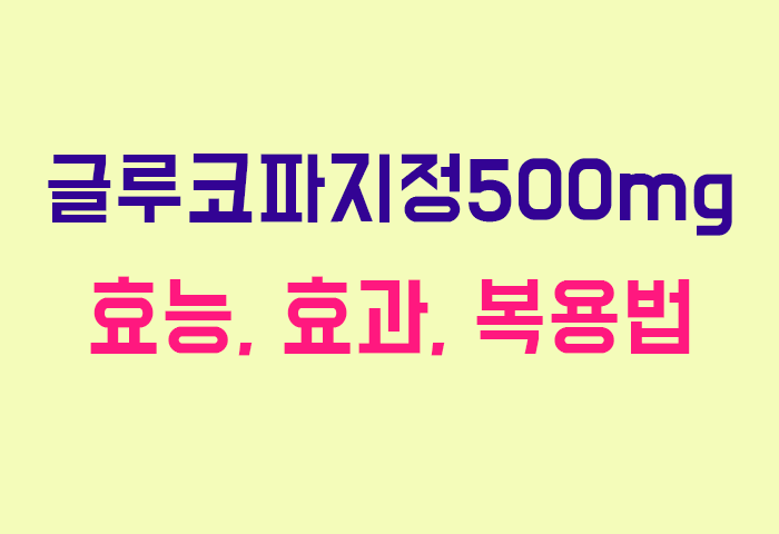 글루코파지정500mg