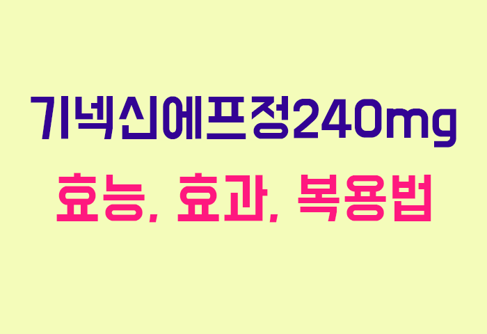 기넥신에프정240mg