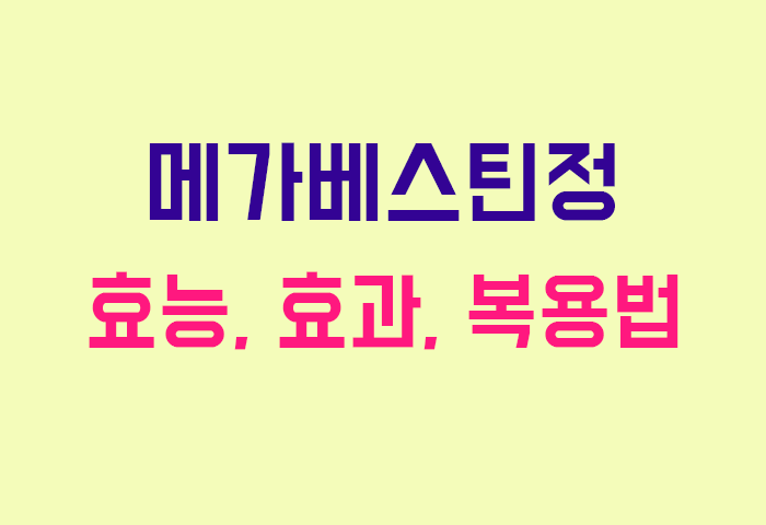 메가베스틴정