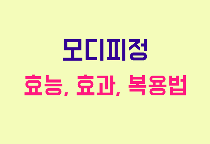 모디피정