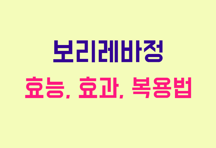 보리레바정