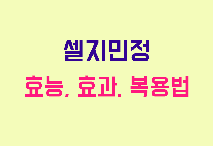 셀지민정