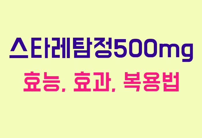 스타레탐정500mg
