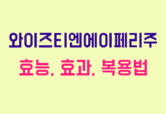 와이즈티엔에이페리주