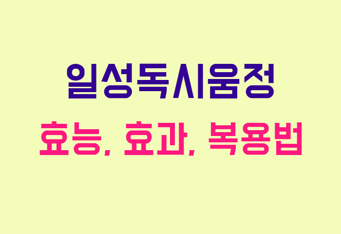 일성독시움정